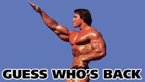 Blog is Back Arnold